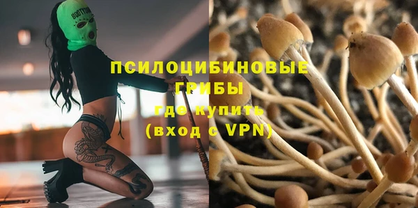 крисы Арсеньев