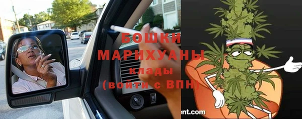 крисы Арсеньев